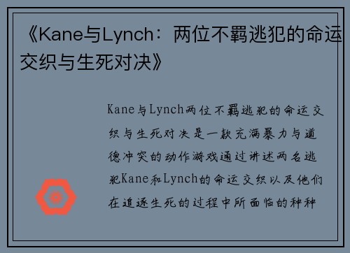 《Kane与Lynch：两位不羁逃犯的命运交织与生死对决》